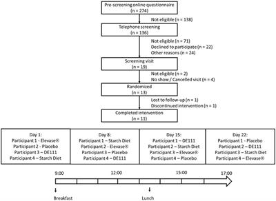 Acute physiological effects on macromolecule digestion following oral ingestion of the enzyme blend Elevase® in individuals that had undergone an ileostomy, but were otherwise healthy—a randomized, double blinded, placebo-controlled exploratory study